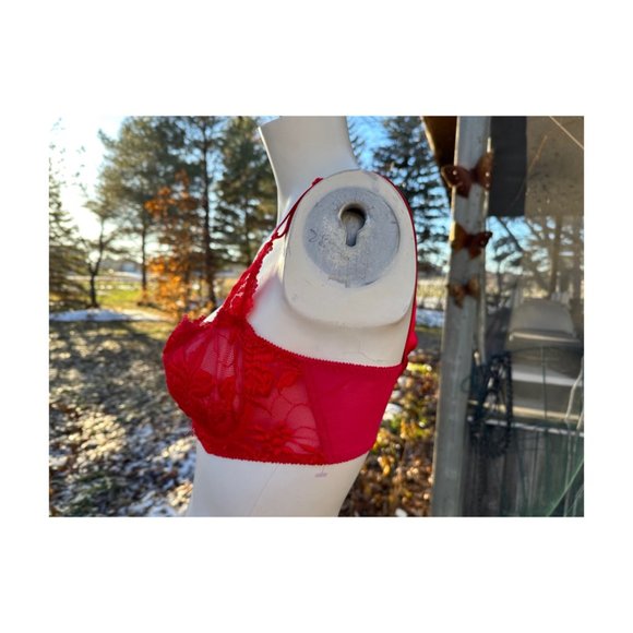 Vintage 90s Colesce Couture Lingerie Demi Cup Bra Red Lace Made in USA Sz 36C - Picture 5 of 8